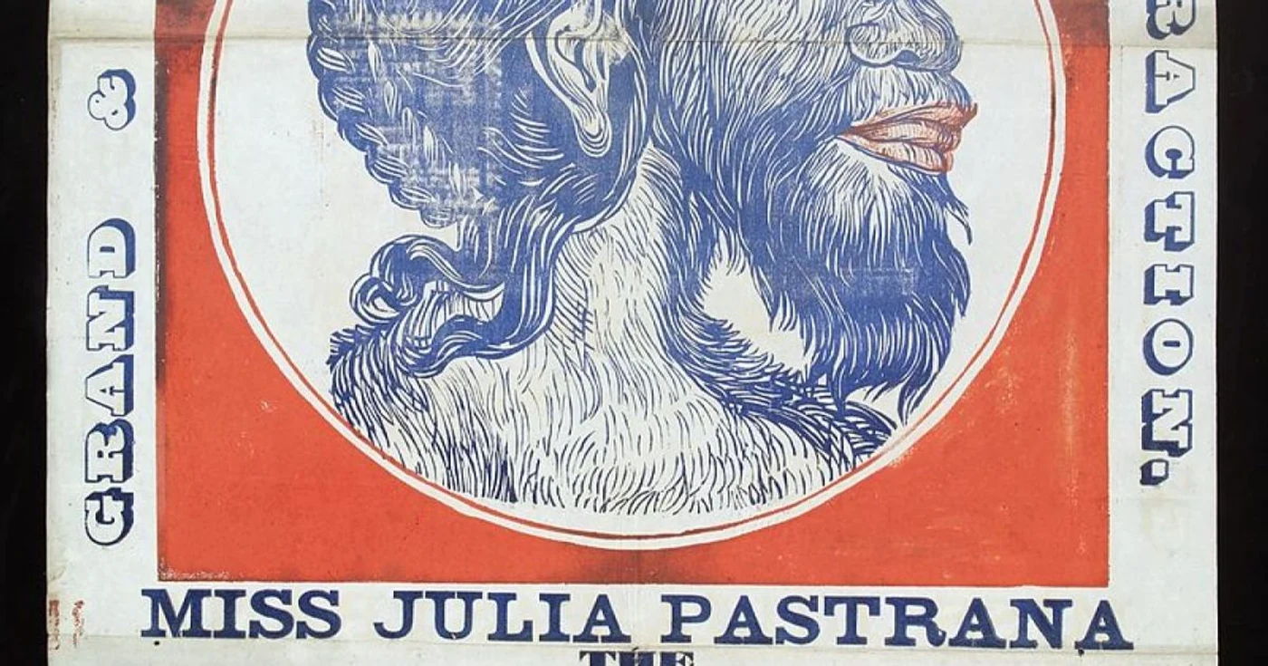 afis pastrana