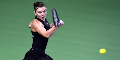 gsp halep
