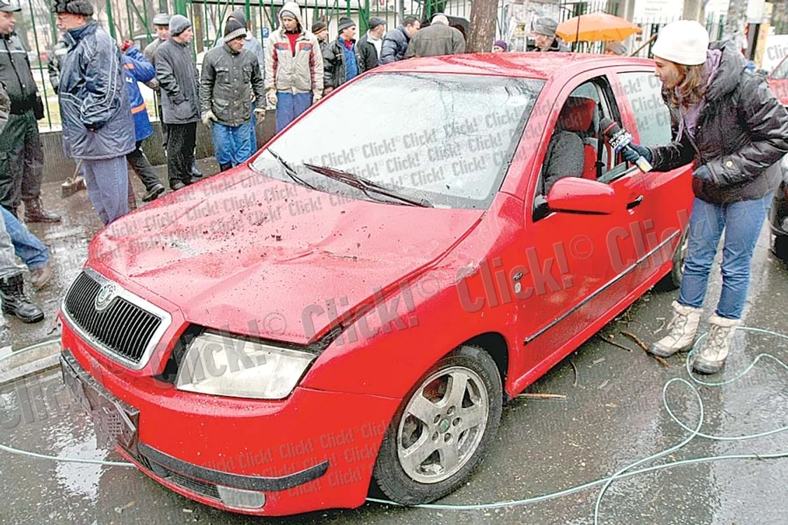 Copacul doborât în Capitală a blocat circulaţia pe una dintre cele mai importante artere ale oraşului ( Fotografii: Dorin Constanda)