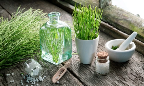 1 shutterstock 1144564559 jpg jpeg