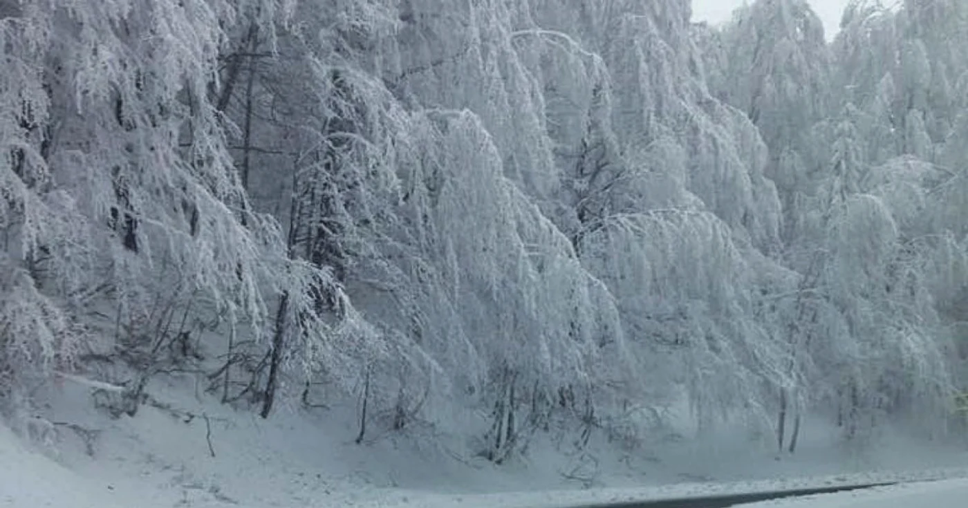 Carosablul este curat, dar umed    Foto: Adevarul