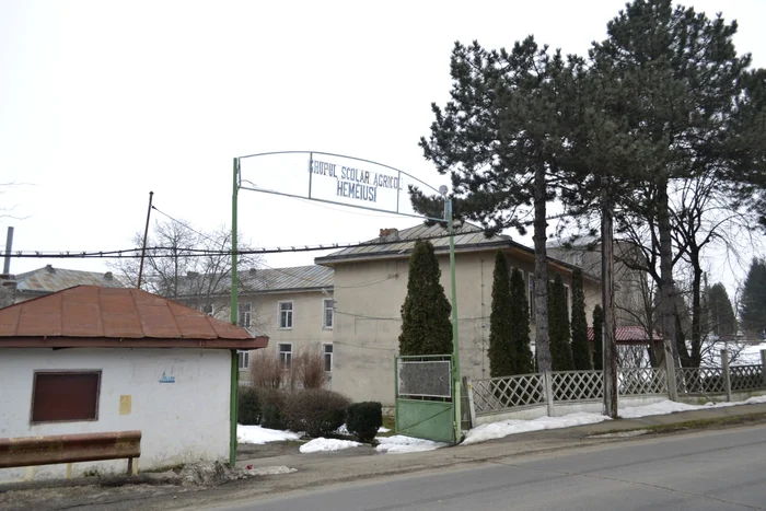 Liceul Agricol Hemeiuş se desfiinţează FOTO Mircea Merticariu