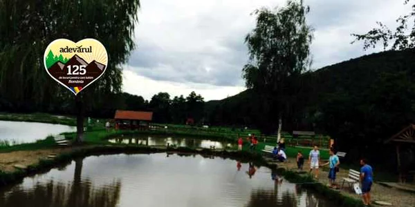 campul cetatii cu sigla