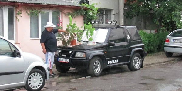 Bărbatul şi-a pus ghivecele cu flori pe capota maşinii