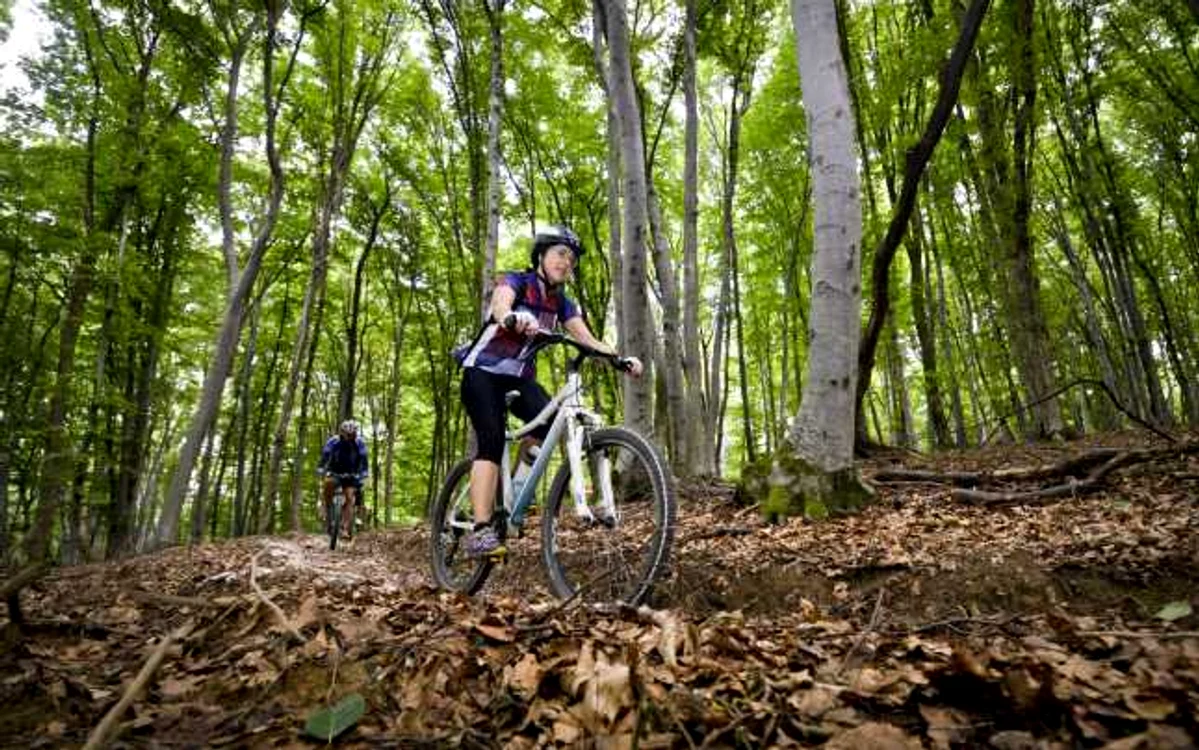 Traseului care măsoară 325 de kilometri cu diferenţă de nivel ce vor fi parcurşi în 4 zile, pe asfalt, pe drumuri forestiere sau pe poteci înguste de pădure.