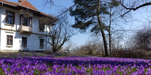 Vila Golescu 01 foto Pro Patrimonio jpg