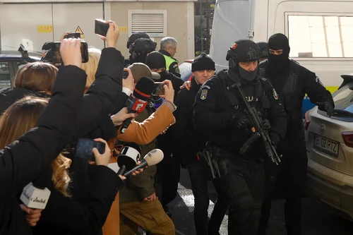 POTRA Parchet 5 INQUAM Photos Malina Norocea jpg