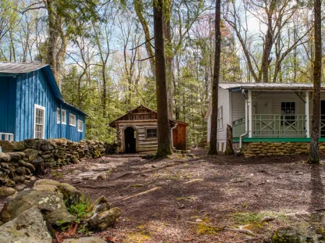 Cabanele se află în pădure, printre mai mulți copaci / foto: Business Insider