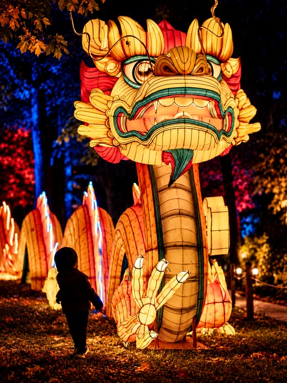 Child and Dragon Lantern Festival png