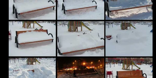 Fotografiile au fost făcute de la începutul lunii februarie până în martie