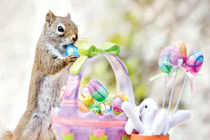 Hait! Astea au capete tari!