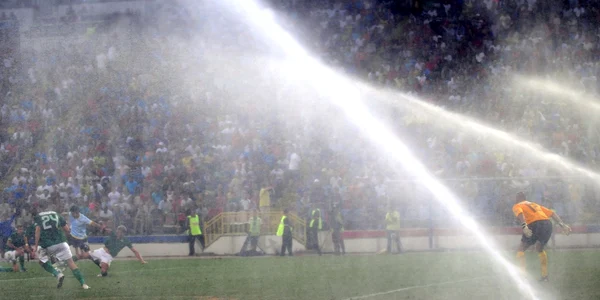 steaua chiajna