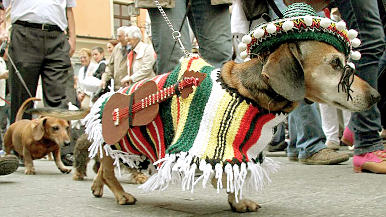 Mexicanul