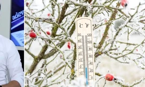 Vasi Radulescu, foto arhiva, Shutterstock jpg