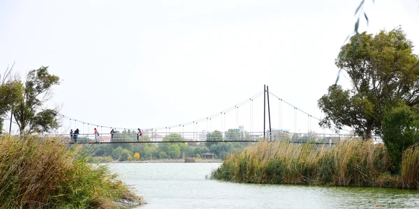 Lacul Tabacarie din Constanta foto Vergil Chitac