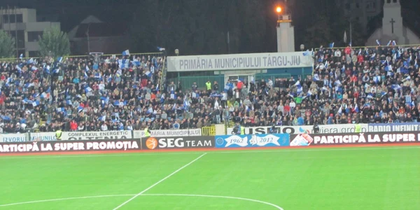 Spectatorii au primit stegulețe în culorile echipei 