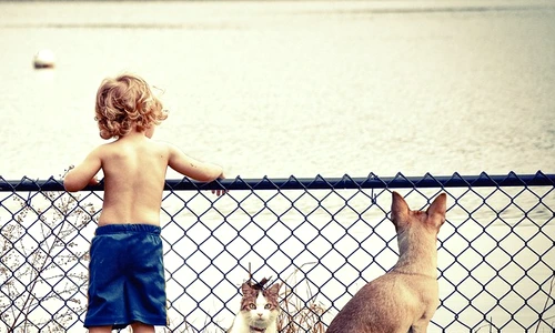 1 73775 original jpg jpeg