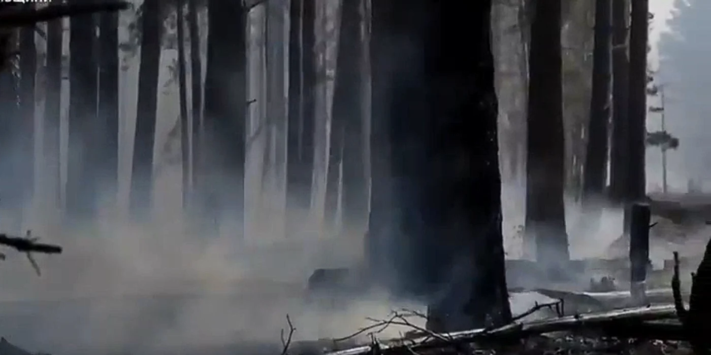 Un incendiu de proporții a izbucnit la Cernobîl. Captură video Serviciile de urgență ucrainene