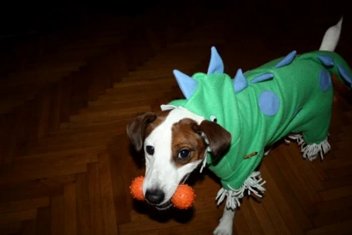 Bărbatul a atacat trecătorii cu un cuţit