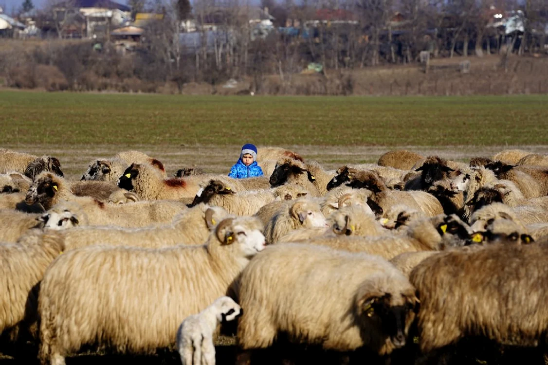 Sebi are 2 ani și iubește animalele FOTO: Ionelia Nucă