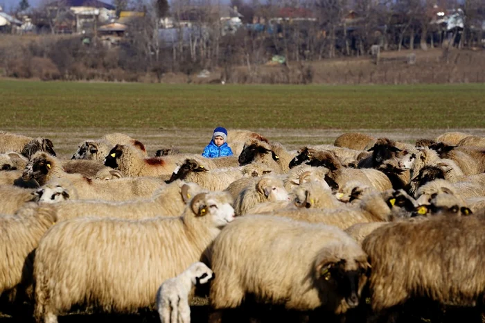 Sebi are 2 ani și iubește animalele FOTO: Ionelia Nucă