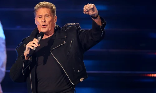 david hasselhoff profimedia (2) jpg