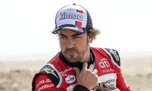 fernando alonso jpeg