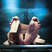 cadavru mort morga eticheta foto shutterstock