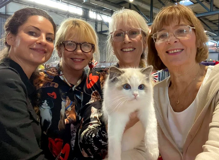 DIADEMS PRINCESS DOLLY jpg