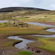 Screenshot 2026 01 15 125558 jpg