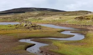 Screenshot 2026 01 15 125558 jpg