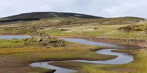 Screenshot 2026 01 15 125558 jpg