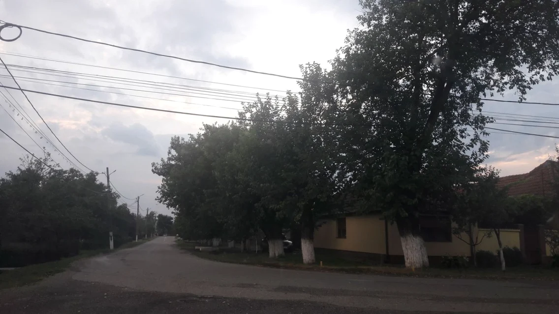 Satul Albina împlineşte 95 de ani 