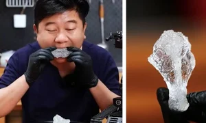 cai nan pui prajit captura video jpg
