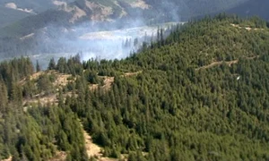 Incendiu masiv în Munţii Bârgăului  (Foto: adevarul ro) jpeg