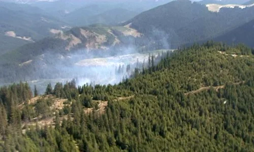 Incendiu masiv în Munţii Bârgăului  (Foto: adevarul ro) jpeg