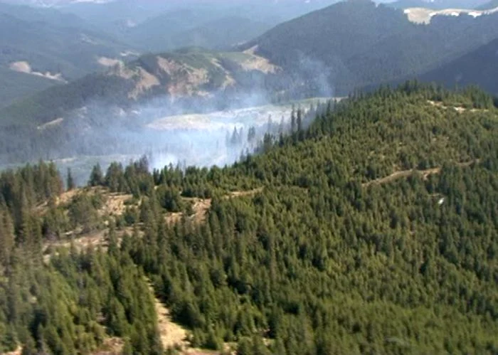 Incendiu masiv în Munţii Bârgăului. (Foto: adevarul.ro)