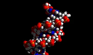 Codul lingvistic și codul genetic jpeg