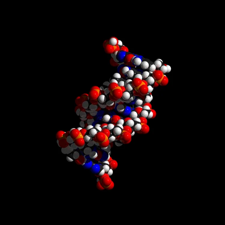 Codul lingvistic și codul genetic jpeg