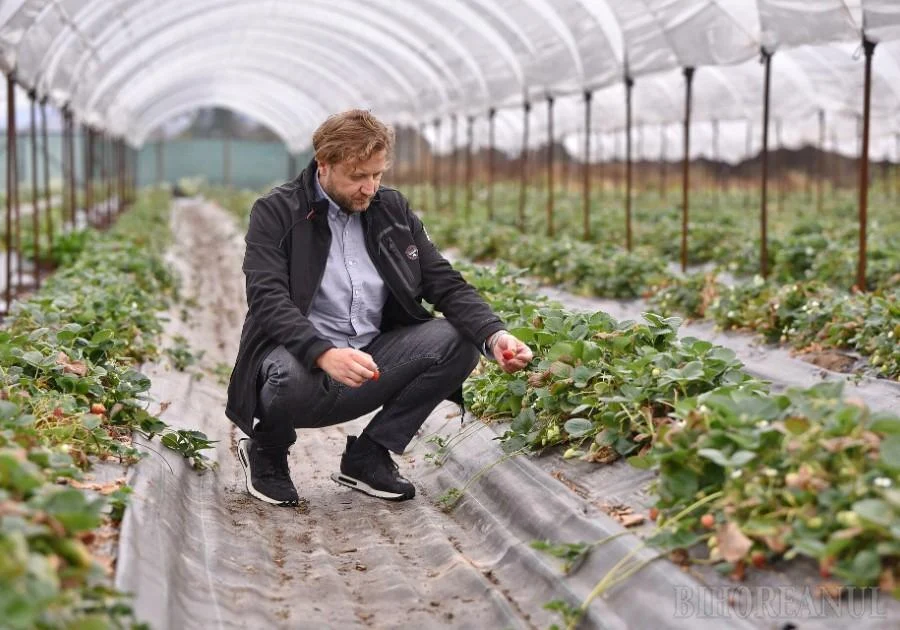 De la cioban la milionar: ascensiunea impresionantă a afaceristului acuzat că ducea mita cu elicopterul