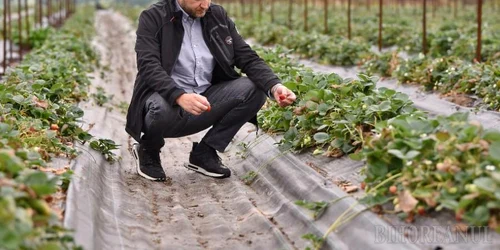 gal dumitru10062025 jpeg