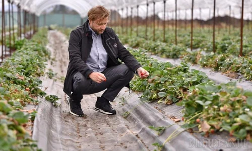 gal dumitru10062025 jpeg