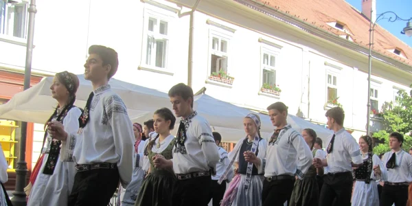 maifest s2013 sibiu17