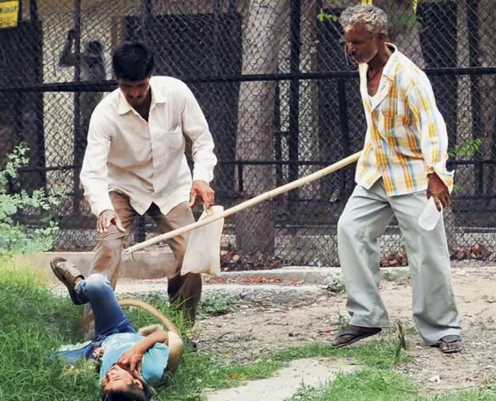 Maimuţă violentă (Foto: Barcroft)