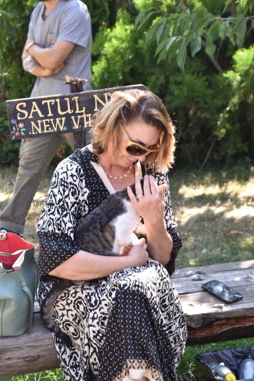Carmen Tănase se luptă pentru pisicuțele comunitare 5 jpg