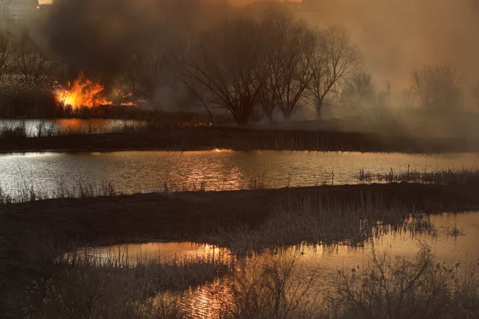 Delta Văcărești, incendiată de două ori în acest an FOTO: Inquam Photos/George Călin