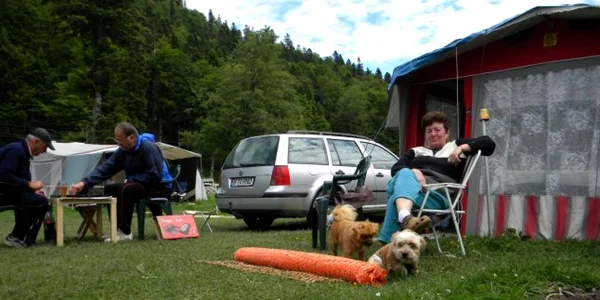 valea cerbului busteni