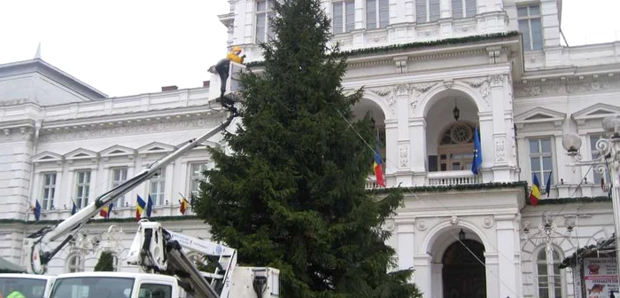 Acesta va fi cel mai mare brad din municipiu FOTO Claudia Untaru Creţu