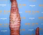 Heidi Klum costum jpg