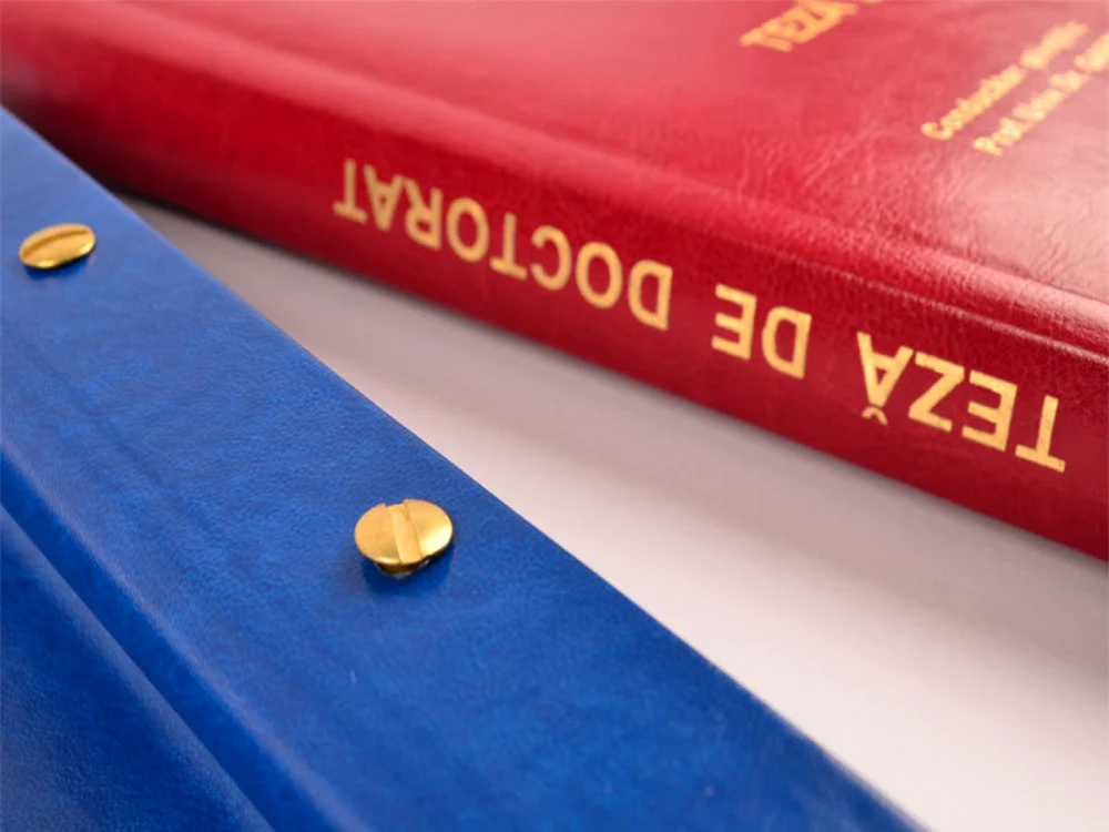 teza de doctorat foto news ro